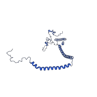 10520_6tmg_d_v1-1
Cryo-EM structure of Toxoplasma gondii mitochondrial ATP synthase dimer, membrane region model