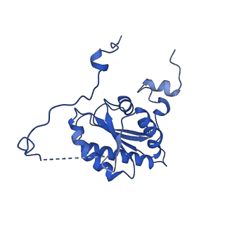 10520_6tmg_f_v1-1
Cryo-EM structure of Toxoplasma gondii mitochondrial ATP synthase dimer, membrane region model