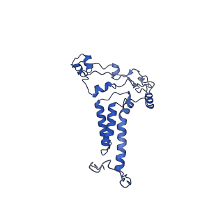 10520_6tmg_h_v1-1
Cryo-EM structure of Toxoplasma gondii mitochondrial ATP synthase dimer, membrane region model