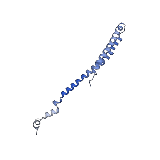 10520_6tmg_k_v1-1
Cryo-EM structure of Toxoplasma gondii mitochondrial ATP synthase dimer, membrane region model