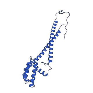 10520_6tmg_l_v1-1
Cryo-EM structure of Toxoplasma gondii mitochondrial ATP synthase dimer, membrane region model