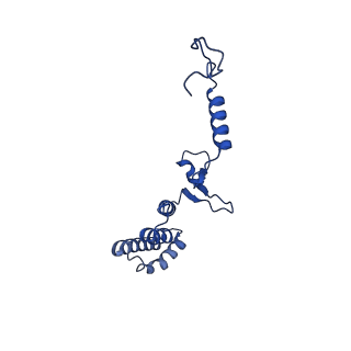 10520_6tmg_n_v1-1
Cryo-EM structure of Toxoplasma gondii mitochondrial ATP synthase dimer, membrane region model
