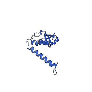 10520_6tmg_o_v1-1
Cryo-EM structure of Toxoplasma gondii mitochondrial ATP synthase dimer, membrane region model