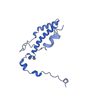 10520_6tmg_q_v1-1
Cryo-EM structure of Toxoplasma gondii mitochondrial ATP synthase dimer, membrane region model