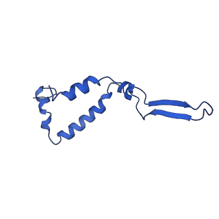 10520_6tmg_t_v1-1
Cryo-EM structure of Toxoplasma gondii mitochondrial ATP synthase dimer, membrane region model