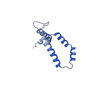 10520_6tmg_v_v1-1
Cryo-EM structure of Toxoplasma gondii mitochondrial ATP synthase dimer, membrane region model