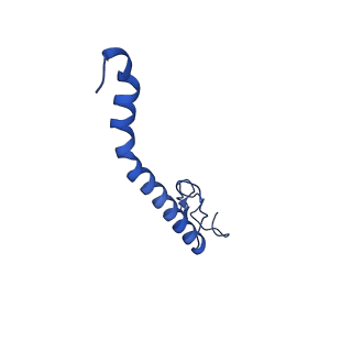 10520_6tmg_x_v1-1
Cryo-EM structure of Toxoplasma gondii mitochondrial ATP synthase dimer, membrane region model