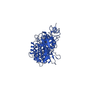 10521_6tmh_A_v1-1
Cryo-EM structure of Toxoplasma gondii mitochondrial ATP synthase dimer, OSCP/F1/c-ring model
