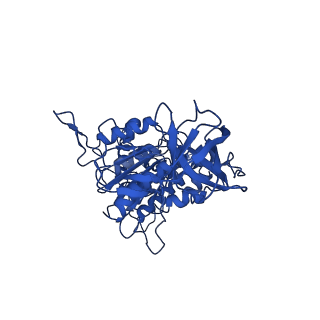 10521_6tmh_B_v1-1
Cryo-EM structure of Toxoplasma gondii mitochondrial ATP synthase dimer, OSCP/F1/c-ring model