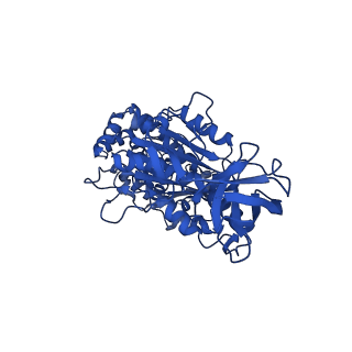 10521_6tmh_C_v1-1
Cryo-EM structure of Toxoplasma gondii mitochondrial ATP synthase dimer, OSCP/F1/c-ring model