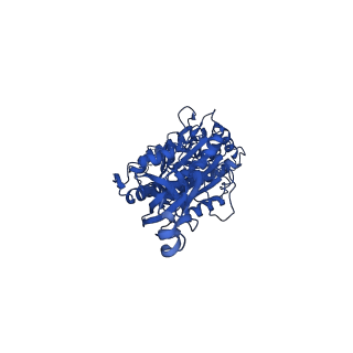10521_6tmh_E_v1-1
Cryo-EM structure of Toxoplasma gondii mitochondrial ATP synthase dimer, OSCP/F1/c-ring model