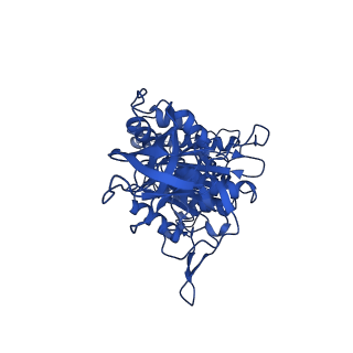 10521_6tmh_F_v1-1
Cryo-EM structure of Toxoplasma gondii mitochondrial ATP synthase dimer, OSCP/F1/c-ring model