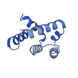 10521_6tmh_G_v1-1
Cryo-EM structure of Toxoplasma gondii mitochondrial ATP synthase dimer, OSCP/F1/c-ring model