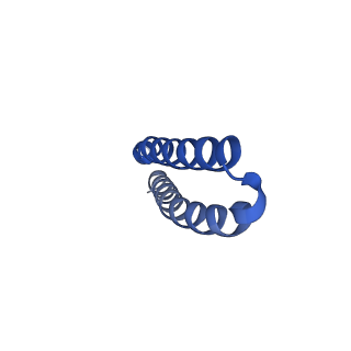 10521_6tmh_K_v1-1
Cryo-EM structure of Toxoplasma gondii mitochondrial ATP synthase dimer, OSCP/F1/c-ring model