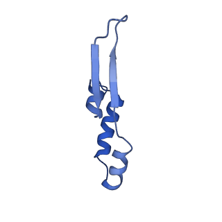 10521_6tmh_e_v1-1
Cryo-EM structure of Toxoplasma gondii mitochondrial ATP synthase dimer, OSCP/F1/c-ring model