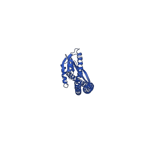 10521_6tmh_g_v1-1
Cryo-EM structure of Toxoplasma gondii mitochondrial ATP synthase dimer, OSCP/F1/c-ring model