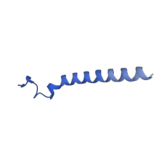 10521_6tmh_i_v1-1
Cryo-EM structure of Toxoplasma gondii mitochondrial ATP synthase dimer, OSCP/F1/c-ring model