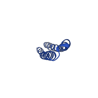 10523_6tmj_H2_v1-1
Cryo-EM structure of Toxoplasma gondii mitochondrial ATP synthase dimer, rotor-stator model