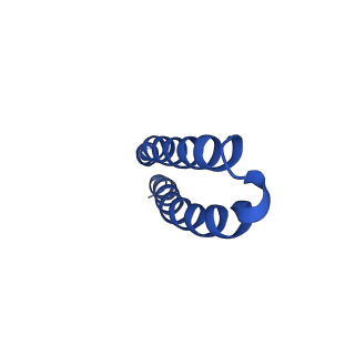 10523_6tmj_K2_v1-1
Cryo-EM structure of Toxoplasma gondii mitochondrial ATP synthase dimer, rotor-stator model