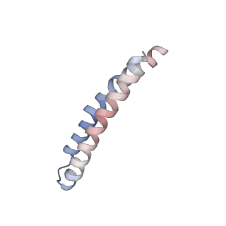 10523_6tmj_K_v1-1
Cryo-EM structure of Toxoplasma gondii mitochondrial ATP synthase dimer, rotor-stator model