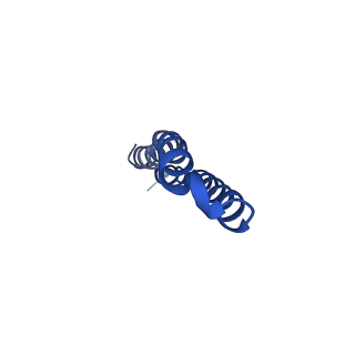 10523_6tmj_O2_v1-1
Cryo-EM structure of Toxoplasma gondii mitochondrial ATP synthase dimer, rotor-stator model