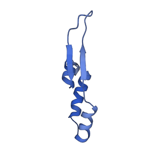 10523_6tmj_e2_v1-1
Cryo-EM structure of Toxoplasma gondii mitochondrial ATP synthase dimer, rotor-stator model