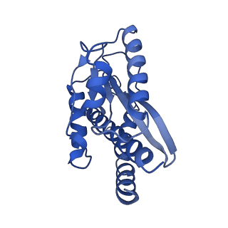 10523_6tmj_g2_v1-1
Cryo-EM structure of Toxoplasma gondii mitochondrial ATP synthase dimer, rotor-stator model