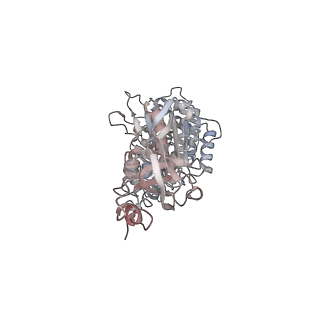 10524_6tmk_A1_v1-1
Cryo-EM structure of Toxoplasma gondii mitochondrial ATP synthase dimer, composite model