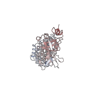 10524_6tmk_A2_v1-1
Cryo-EM structure of Toxoplasma gondii mitochondrial ATP synthase dimer, composite model