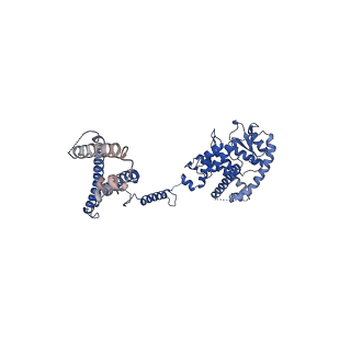 10524_6tmk_A_v1-1
Cryo-EM structure of Toxoplasma gondii mitochondrial ATP synthase dimer, composite model