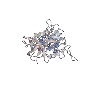 10524_6tmk_B1_v1-1
Cryo-EM structure of Toxoplasma gondii mitochondrial ATP synthase dimer, composite model