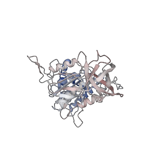 10524_6tmk_B2_v1-1
Cryo-EM structure of Toxoplasma gondii mitochondrial ATP synthase dimer, composite model