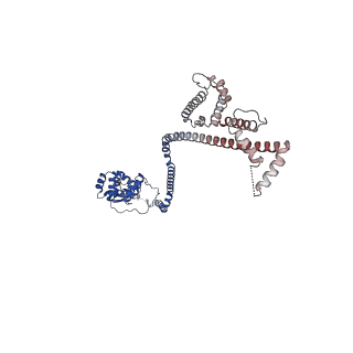 10524_6tmk_B_v1-1
Cryo-EM structure of Toxoplasma gondii mitochondrial ATP synthase dimer, composite model
