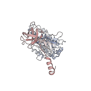 10524_6tmk_C1_v1-1
Cryo-EM structure of Toxoplasma gondii mitochondrial ATP synthase dimer, composite model