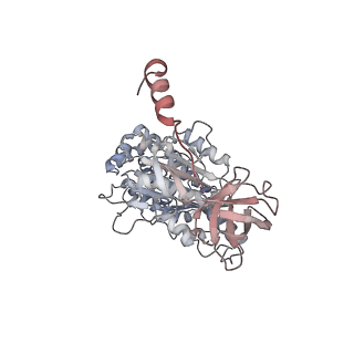 10524_6tmk_C2_v1-1
Cryo-EM structure of Toxoplasma gondii mitochondrial ATP synthase dimer, composite model