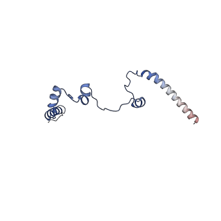 10524_6tmk_C_v1-1
Cryo-EM structure of Toxoplasma gondii mitochondrial ATP synthase dimer, composite model