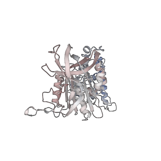 10524_6tmk_D1_v1-1
Cryo-EM structure of Toxoplasma gondii mitochondrial ATP synthase dimer, composite model