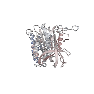 10524_6tmk_D2_v1-1
Cryo-EM structure of Toxoplasma gondii mitochondrial ATP synthase dimer, composite model