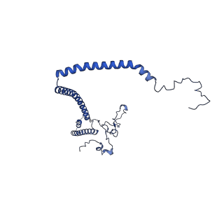 10524_6tmk_D_v1-1
Cryo-EM structure of Toxoplasma gondii mitochondrial ATP synthase dimer, composite model