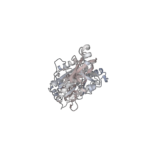 10524_6tmk_E1_v1-1
Cryo-EM structure of Toxoplasma gondii mitochondrial ATP synthase dimer, composite model