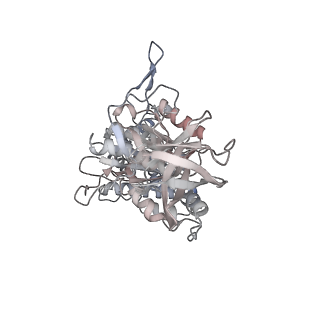 10524_6tmk_F1_v1-1
Cryo-EM structure of Toxoplasma gondii mitochondrial ATP synthase dimer, composite model