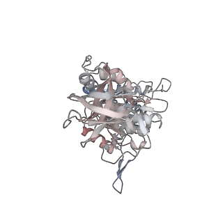 10524_6tmk_F2_v1-1
Cryo-EM structure of Toxoplasma gondii mitochondrial ATP synthase dimer, composite model