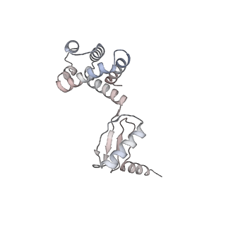 10524_6tmk_G1_v1-1
Cryo-EM structure of Toxoplasma gondii mitochondrial ATP synthase dimer, composite model