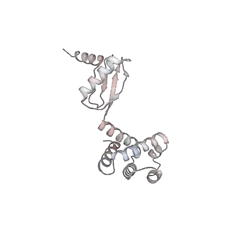 10524_6tmk_G2_v1-1
Cryo-EM structure of Toxoplasma gondii mitochondrial ATP synthase dimer, composite model