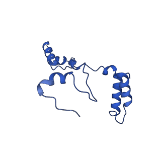 10524_6tmk_G_v1-1
Cryo-EM structure of Toxoplasma gondii mitochondrial ATP synthase dimer, composite model