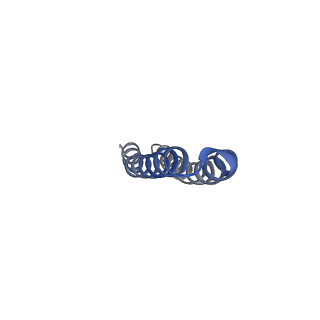 10524_6tmk_I2_v1-1
Cryo-EM structure of Toxoplasma gondii mitochondrial ATP synthase dimer, composite model
