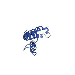 10524_6tmk_I_v1-1
Cryo-EM structure of Toxoplasma gondii mitochondrial ATP synthase dimer, composite model