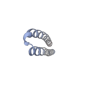 10524_6tmk_K1_v1-1
Cryo-EM structure of Toxoplasma gondii mitochondrial ATP synthase dimer, composite model