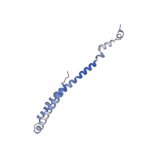 10524_6tmk_K_v1-1
Cryo-EM structure of Toxoplasma gondii mitochondrial ATP synthase dimer, composite model