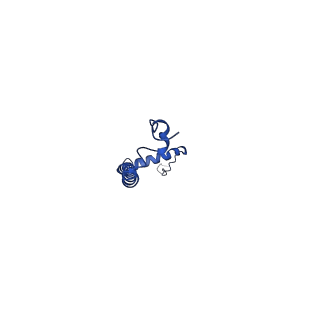 10524_6tmk_M_v1-1
Cryo-EM structure of Toxoplasma gondii mitochondrial ATP synthase dimer, composite model